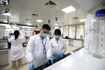 一周年！珠海醫藥科技交出亮眼答卷