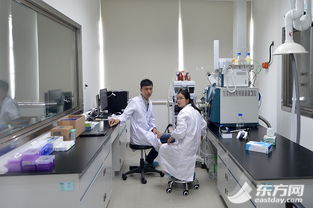 中外媒體聚焦張江 醫(yī)藥科技企業(yè)的創(chuàng)新實踐如何以高科技為患者帶來福音